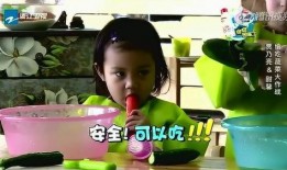 黑吃 瓜老师,揭秘校园里的神秘美食传奇