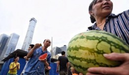 朝阳吃瓜群众一枚 爆炸瓜视频,朝阳瓜界炸裂！吃瓜群众直呼过瘾的爆炸瓜视频大揭秘