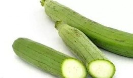 吃瓜网在线观看视频 热门大瓜每日必吃大瓜,吃瓜网热门视频在线观看，揭秘娱乐圈最新动态