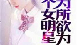 明星小说