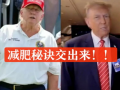 2024大瓜事件,揭秘娱乐圈风云变幻